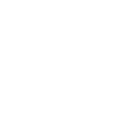 Icon: E-Auto mit Stecker