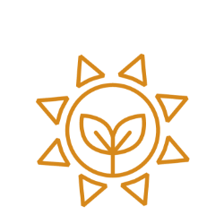 Kaai Service